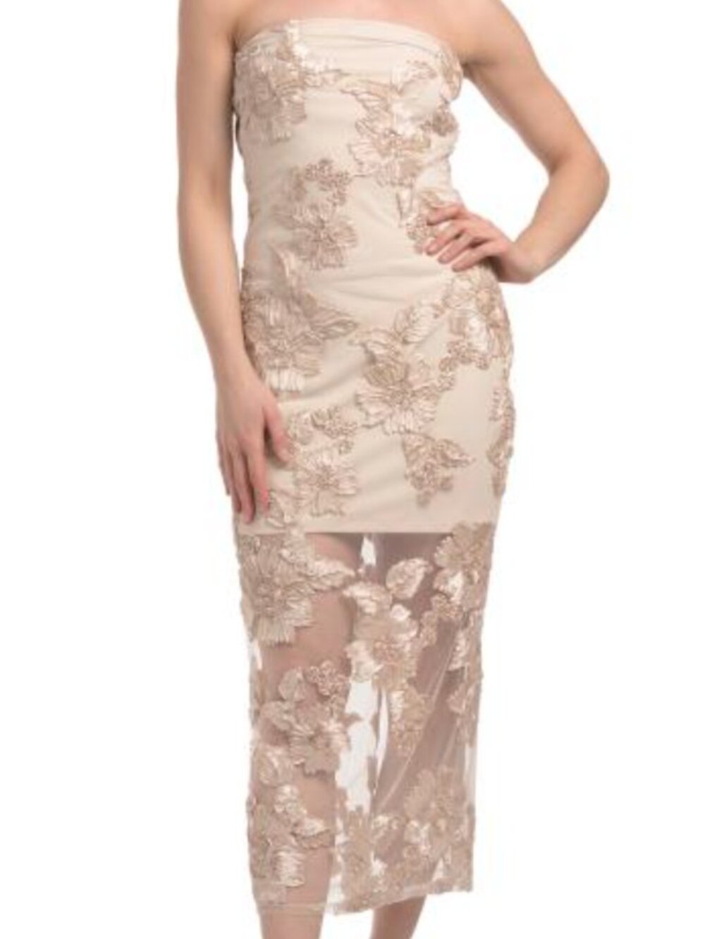 Camila Coelho Strapless Mesh Midi Dress with Embroidered Floral Applique